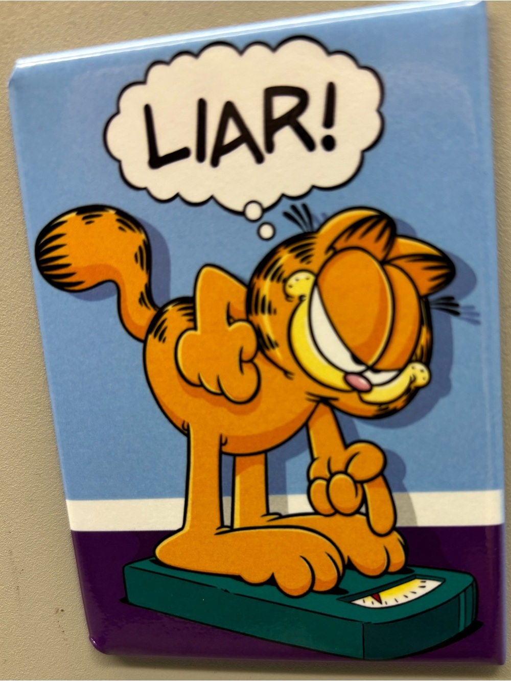 🧼Magnet - Garfield 'LIAR!' Cartoon - Classic Orange Cat